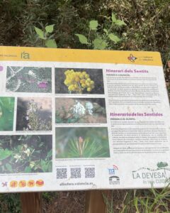 Panel informativo del Itinerario de los Sentidos en el Parque Natural de la Dehesa del Saler en Valencia.