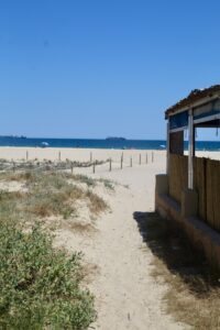 foto con vistas al mar desde el restaurante la dehesa jose luis en la playa del saler